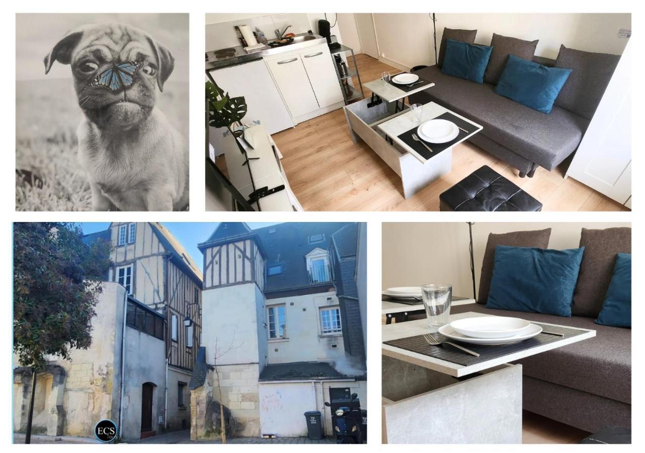 "Colbert Studio" Coeur De Ville - Cathedrale Saint Gatien Tours Exterior photo